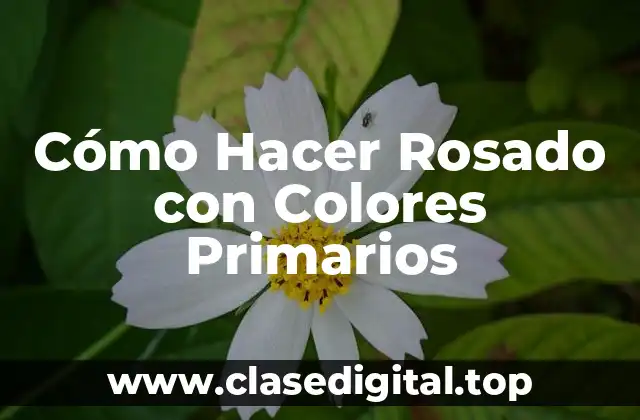Cómo Hacer Rosado con Colores Primarios