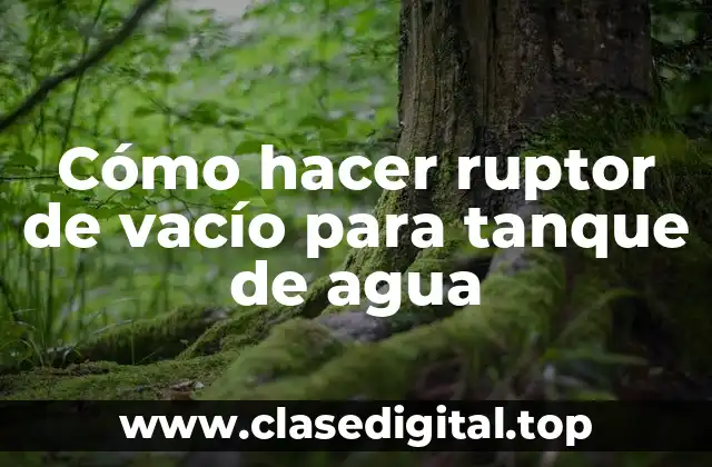 ¿Qué es un ruptor de vacío para tanque de agua y cómo funciona?
