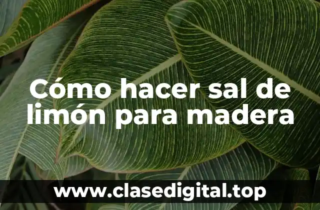 ¿Qué es sal de limón para madera?