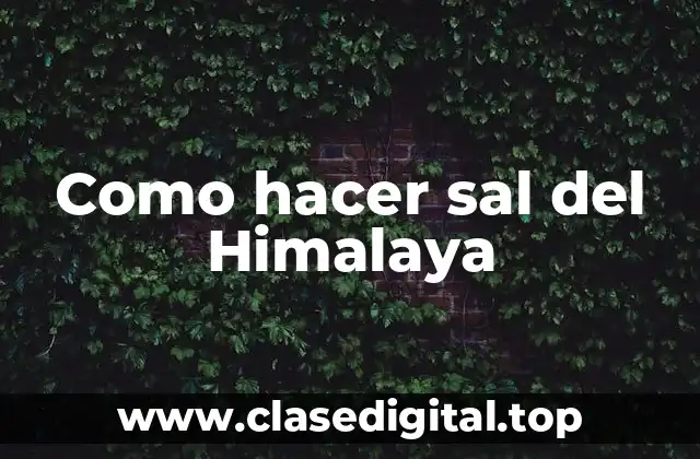 Como hacer sal del Himalaya