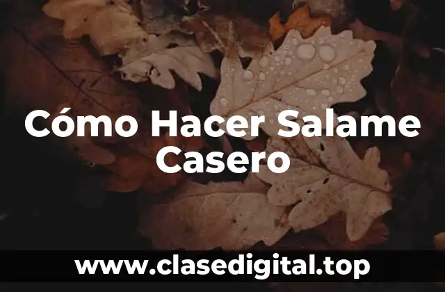 ¿Qué es el Salame Casero y Para Qué Sirve?