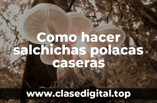 Salchichas polacas caseras: descubre qué son y cómo se utilizan