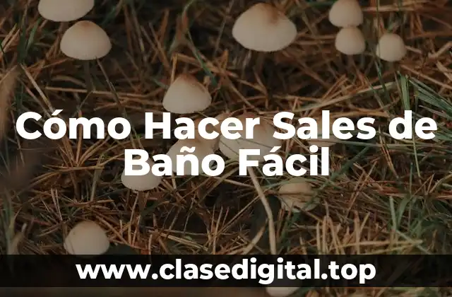Cómo Hacer Sales de Baño Fácil