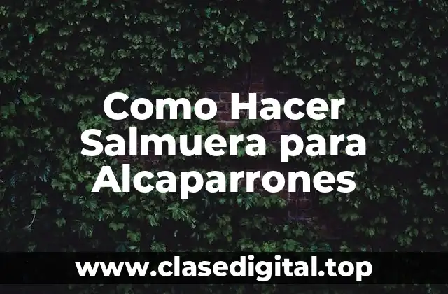 ¿Qué es la Salmuera para Alcaparrones y para Qué Sirve?