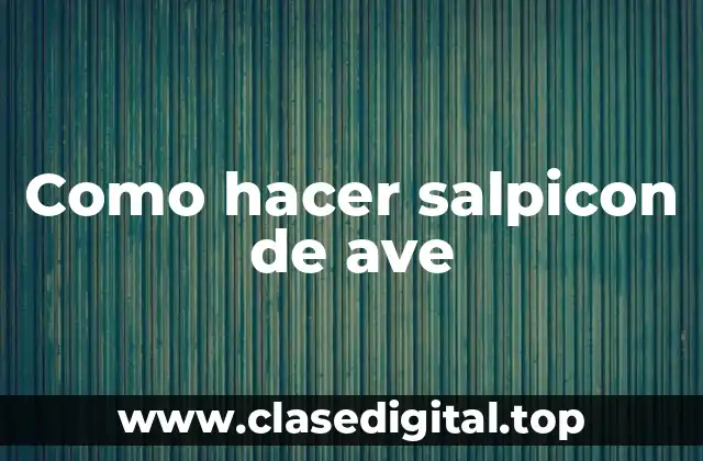 ¿Qué es un salpicon de ave?