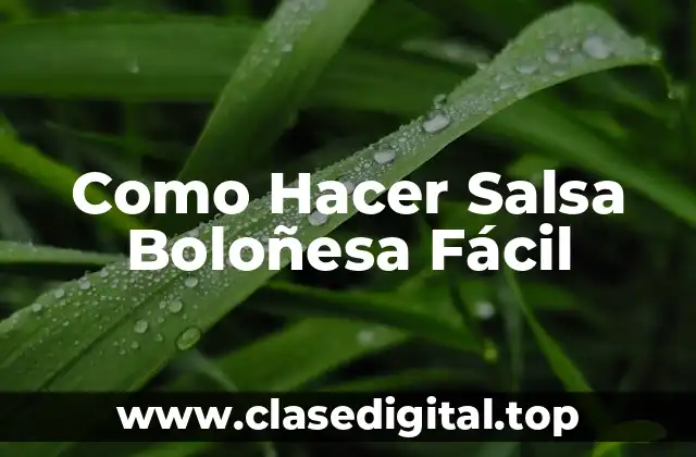 ¿Qué es la Salsa Boloñesa?