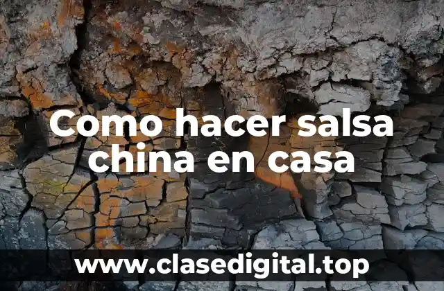 Como hacer salsa china en casa