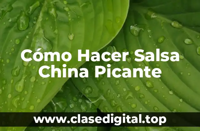 Cómo Hacer Salsa China Picante