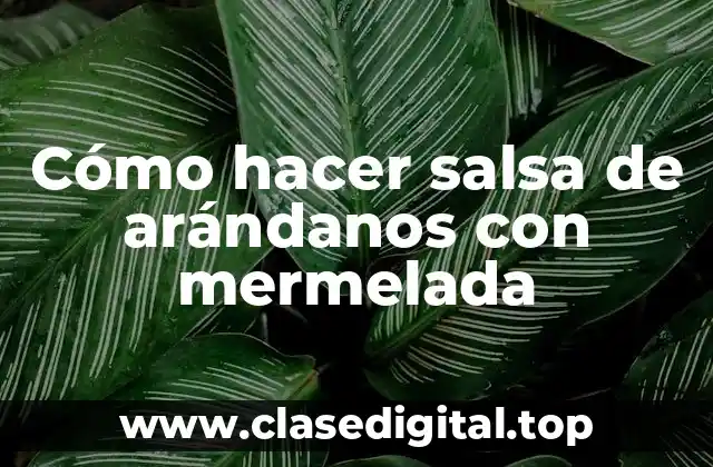 Cómo hacer salsa de arándanos con mermelada