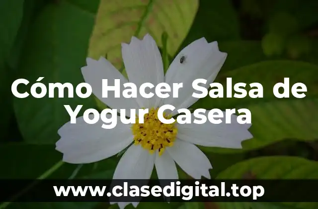 Beneficios de la Salsa de Yogur Casera