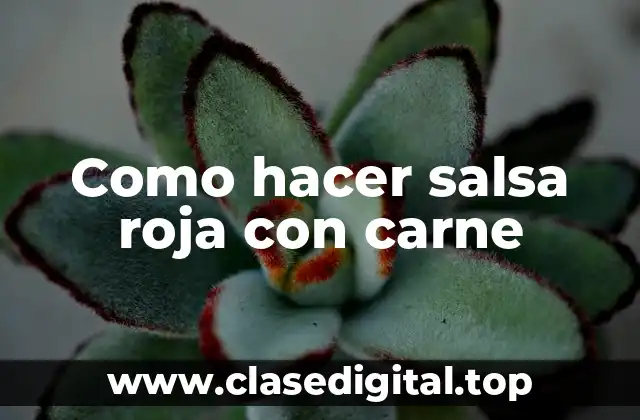 Como hacer salsa roja con carne