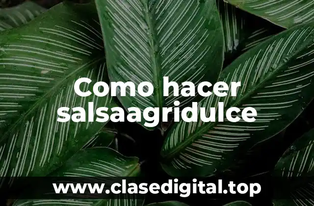 Como hacer salsaagridulce