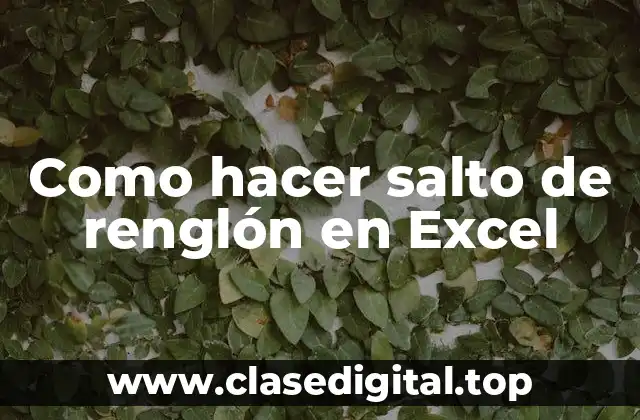 Como hacer salto de renglón en Excel