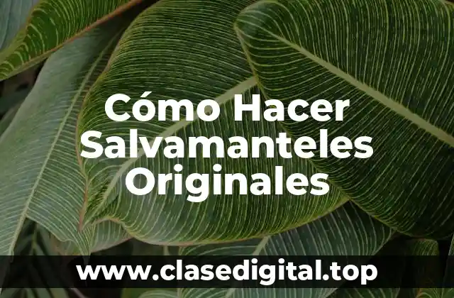 Cómo Hacer Salvamanteles Originales