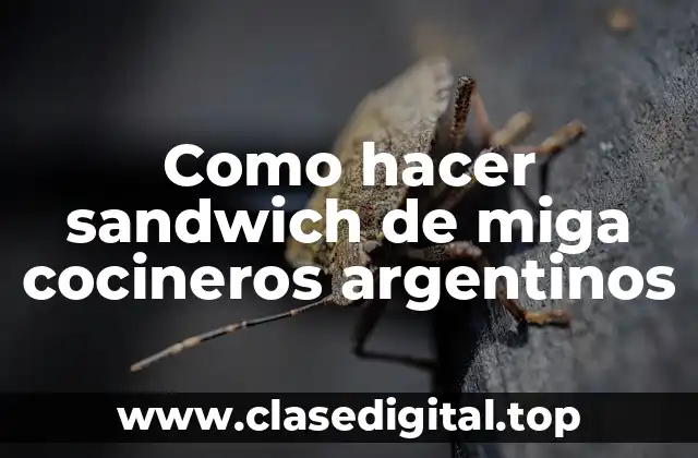 Como hacer sandwich de miga cocineros argentinos