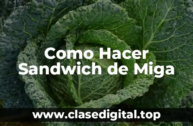 Como Hacer Sandwich de Miga