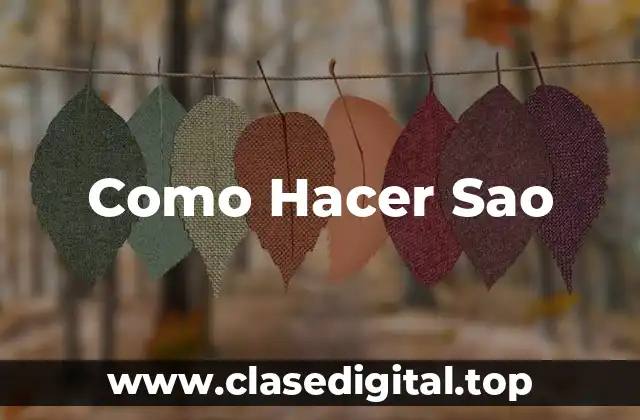 Como Hacer Sao