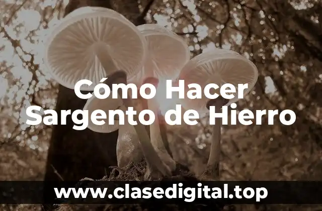 Cómo Hacer Sargento de Hierro