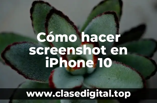 Cómo hacer screenshot en iPhone 10