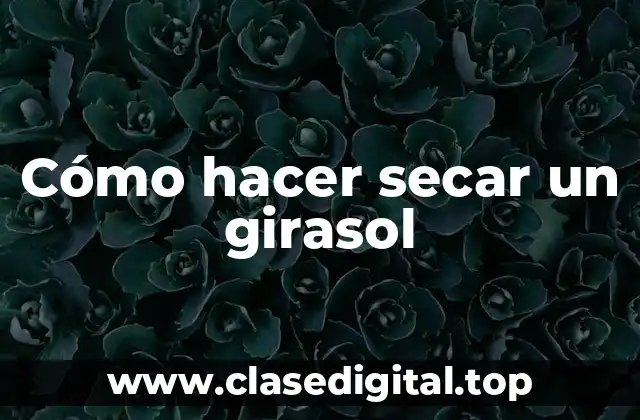 Cómo hacer secar un girasol