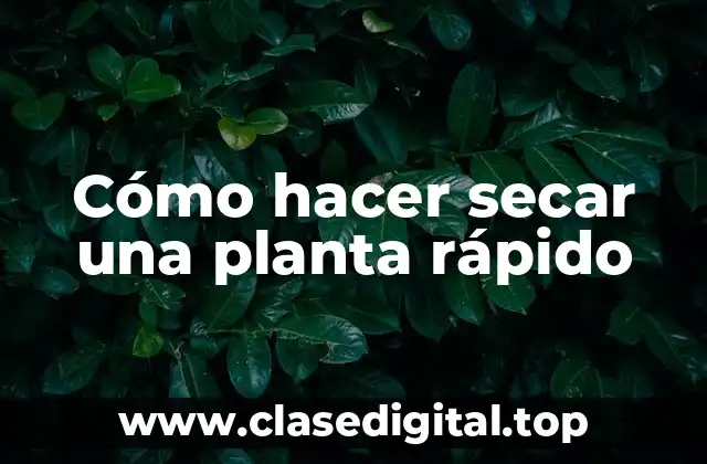 Cómo hacer secar una planta rápido