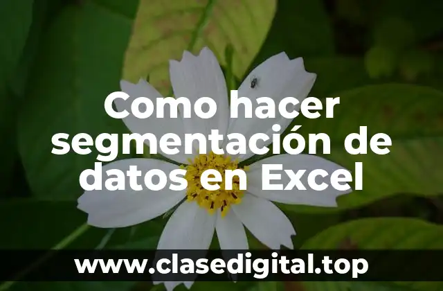 Como hacer segmentación de datos en Excel
