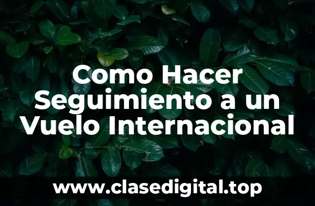 Como Hacer Seguimiento a un Vuelo Internacional