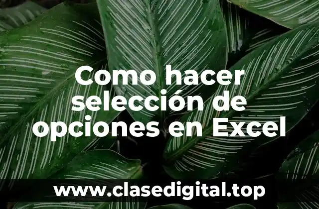 Selección de opciones en Excel