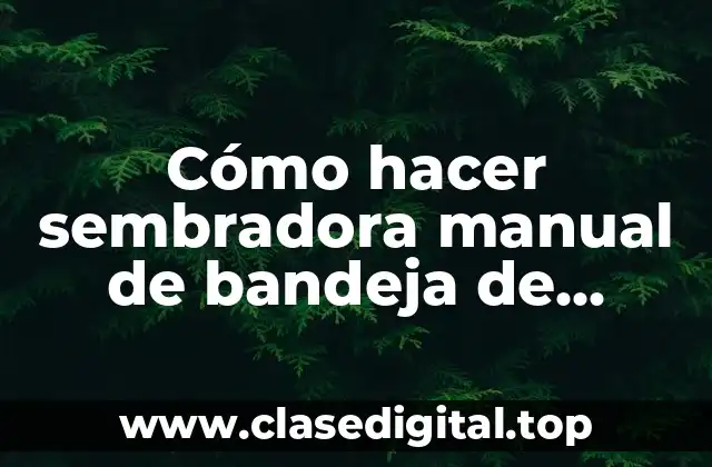 Cómo hacer sembradora manual de bandeja de semillero