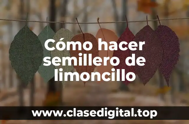 ¿Qué es un semillero de limoncillo y para qué sirve?