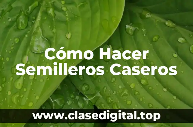 Cómo Hacer Semilleros Caseros