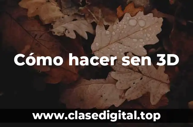 Cómo hacer sen 3D