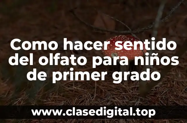 Como hacer sentido del olfato para niños de primer grado