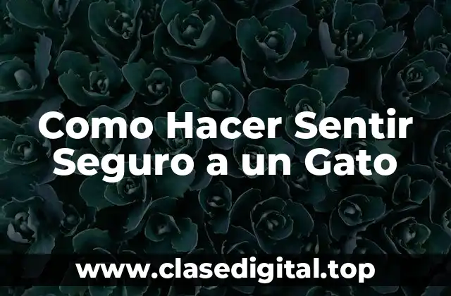 ¿Qué es Hacer Sentir Seguro a un Gato?