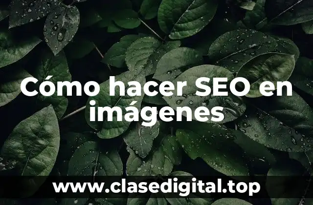 Cómo hacer SEO en imágenes