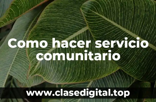 Como hacer servicio comunitario