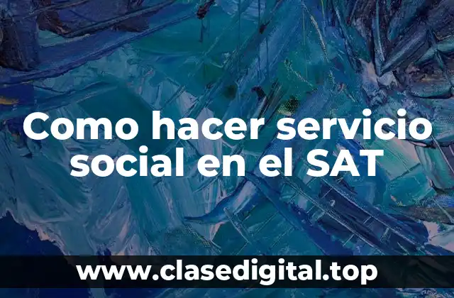 Como hacer servicio social en el SAT