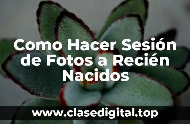 Como Hacer Sesión de Fotos a Recién Nacidos