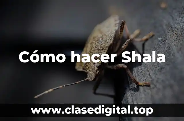 Cómo hacer Shala