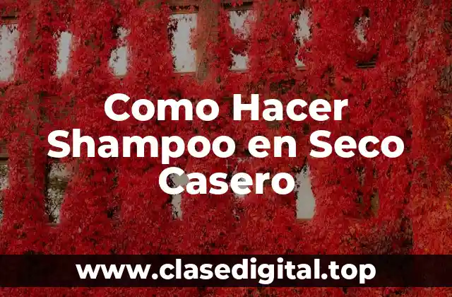 Como Hacer Shampoo en Seco Casero