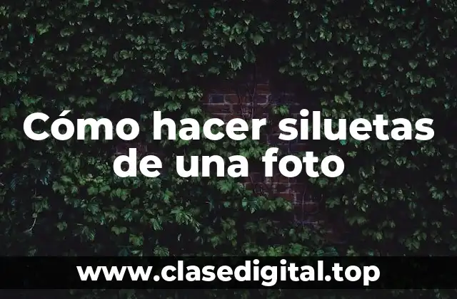 Cómo hacer siluetas de una foto