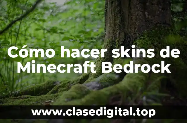 ¿Qué son los skins de Minecraft Bedrock?
