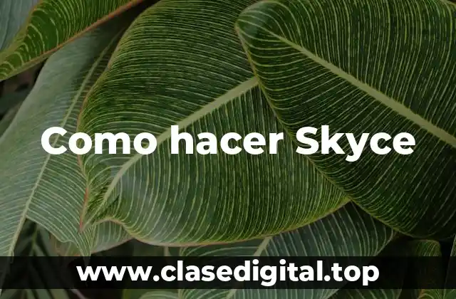 Como hacer Skyce