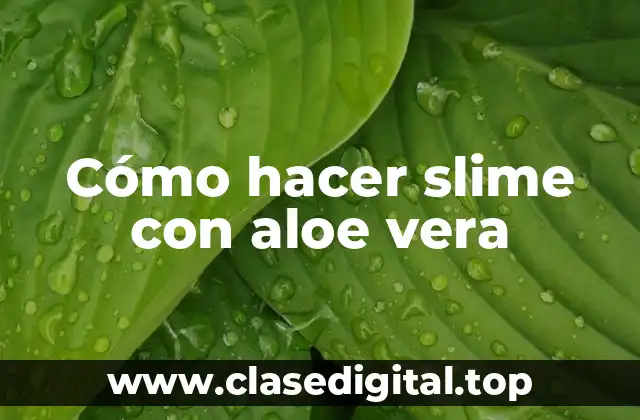 Cómo hacer slime con aloe vera