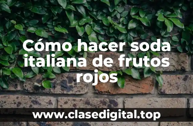 Cómo hacer soda italiana de frutos rojos
