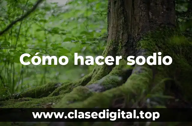 Cómo hacer sodio