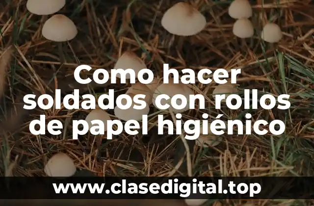 Como hacer soldados con rollos de papel higiénico