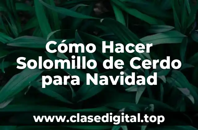 Cómo Hacer Solomillo de Cerdo para Navidad