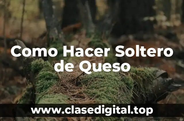 ¿Qué es el Soltero de Queso?