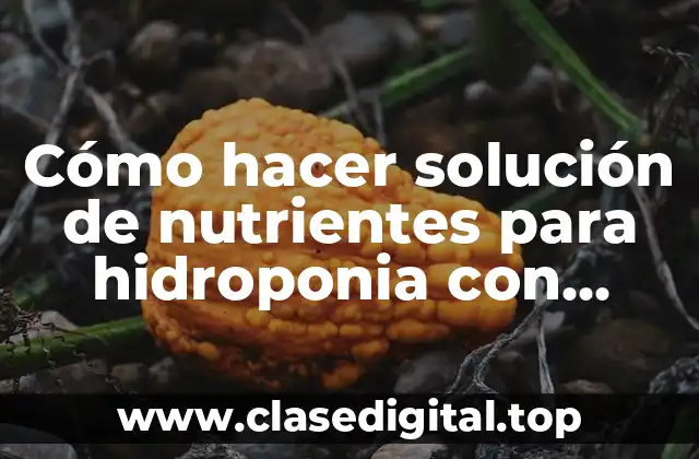 Cómo hacer solución de nutrientes para hidroponia con sustancias caseras